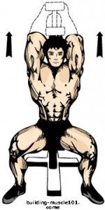 seated-single-dumbbell-extension-2[1]