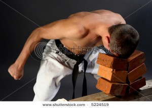 stock-photo-young-sporty-karate-man-breaking-three-bricks-on-gray-background-5224519[1]