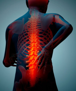 Back-Pain-crop-370x440WEB[1]