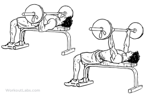 Barbell_Bench_Press[1]